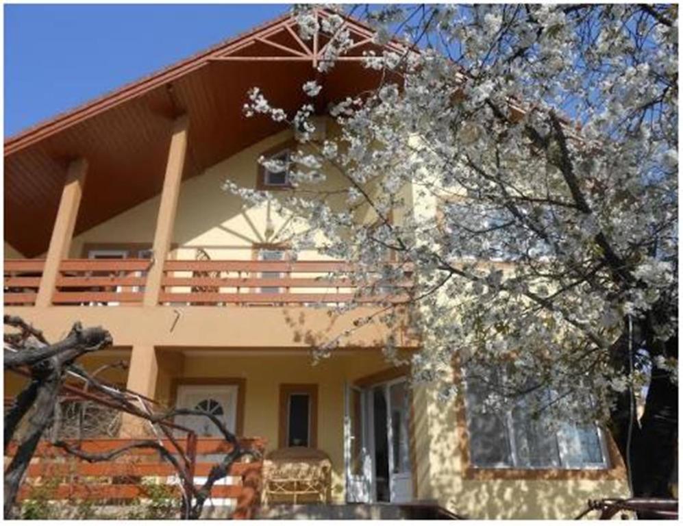 Pensiunea Pentru Tine Prietene Arcani Cameră foto