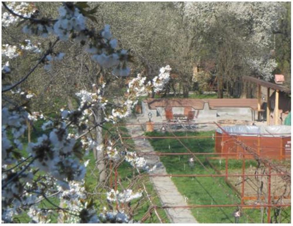 Pensiunea Pentru Tine Prietene Arcani Cameră foto